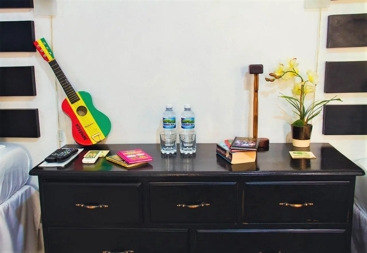Bed & Breakfast Eventuality B&B New Kingston